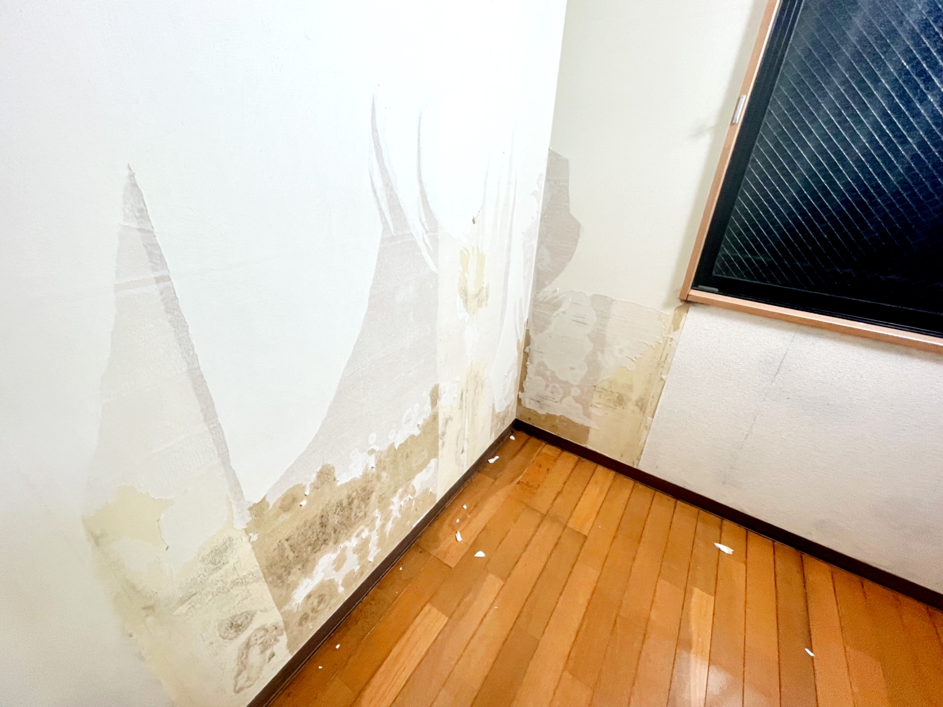 雨漏り後に壁紙が浮いてめくれている写真