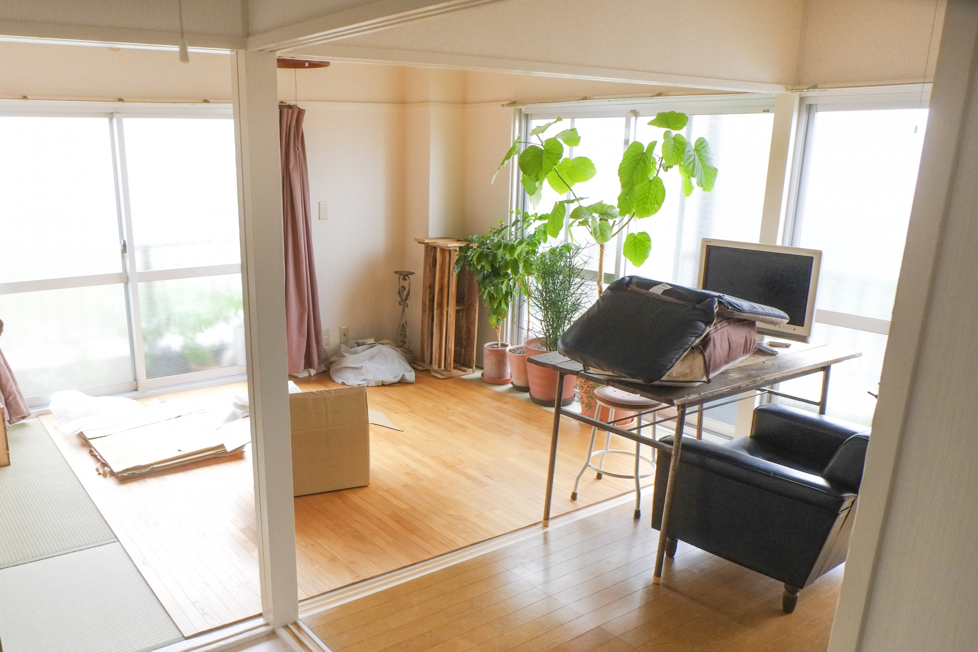 家具や荷物、観葉植物が置かれた室内